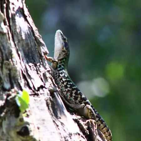 Apartament Casa Le Basse - Vetulonia Gavorrano