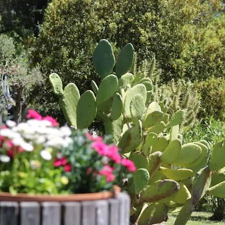 Apartament Casa Le Basse - Vetulonia