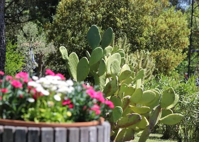 Appartement Casa Le Basse - Vetulonia