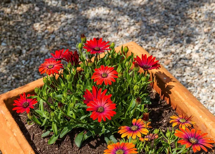 Appartement Casa Le Basse - Vetulonia